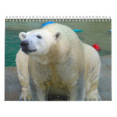 Tiere von Brookfield Zoo Kalender (Titelbild)