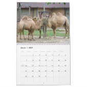 Tiere von Brookfield Zoo Kalender (Mär 2027)