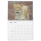 Tiere von Brookfield Zoo Kalender (Feb 2027)