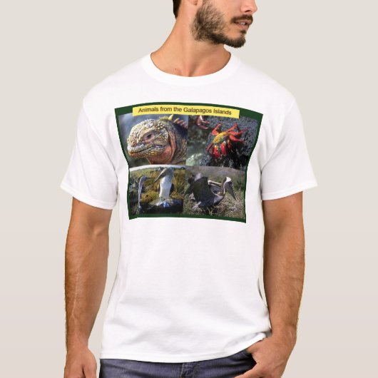 Tiere von den Galapagos-Inseln T-Shirt (Vorderseite)