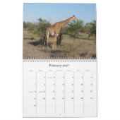 Tiere von Südafrika Kalender (Feb 2027)