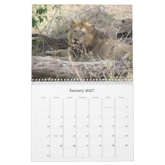 Tiere von Südafrika Kalender (Jan 2027)