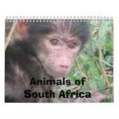 Tiere von Südafrika Kalender (Titelbild)