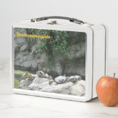 Tiere, Wasser, Schildkröten, Steine, Blume, Natur, Metall Brotdose (Beispiel)