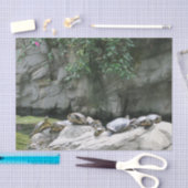 Tiere, Wasser, Schildkröten, Steine, Blume, Natur, Seidenpapier (Handwerk)