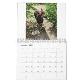 Tiere weltweit 5,5" x 7" Kalender 2021 (Jan 2027)