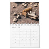 Tiere weltweit 5,5" x 7" Kalender 2021 (Feb 2027)