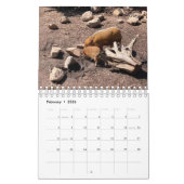 Tiere weltweit 5,5" x 7" Kalender 2021 (Feb 2026)