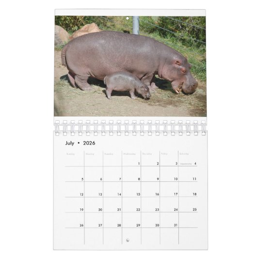 Tiere weltweit 5,5" x 7" Kalender 2021 (Jul 2026)