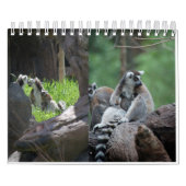 Tiere weltweit 5,5" x 7" Kalender 2021 (Titelbild)