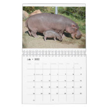 Tiere weltweit 5,5" x 7" Kalender 2021