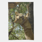 Tiere > wild > Katzen > Löwen Geschirrtuch (Vertikal)