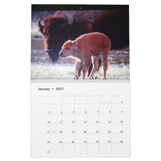 Tiere Yellowstonegewohnheit Druckkalenders Kalender (Jan 2027)