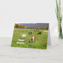 Tiere Ziegen Weiden Vermont Foto Geburtstag Karte