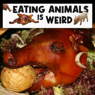 Tiere zu essen ist komisch, Veganer Aktivismus Autoaufkleber