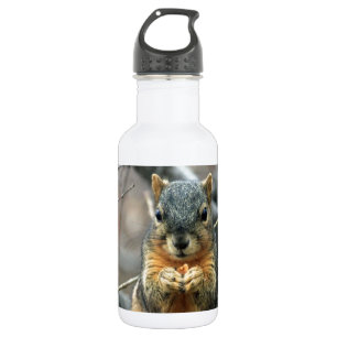 Tiereichhörnchen-niedlicher Waldpark-Wald Trinkflasche