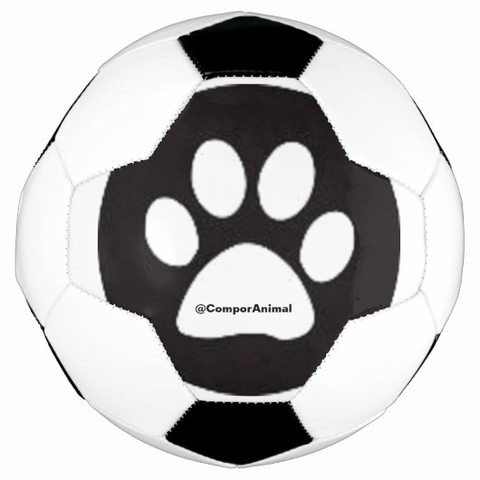 Tierfährte Fußball (Vorderseite)