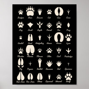 Tierfährten Gewöhnliche Tiere Und Wildtier-Spuren  Poster