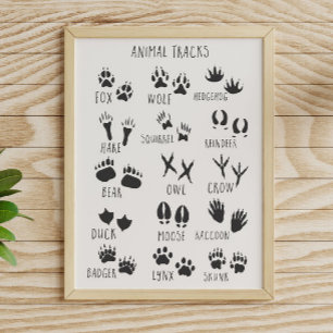 Tierfährten poster