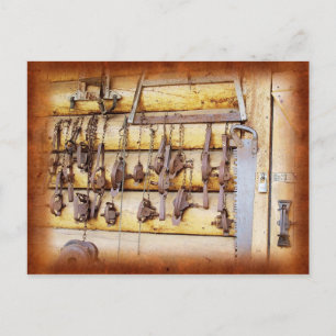 Tierfallen in Alaska Postkarte