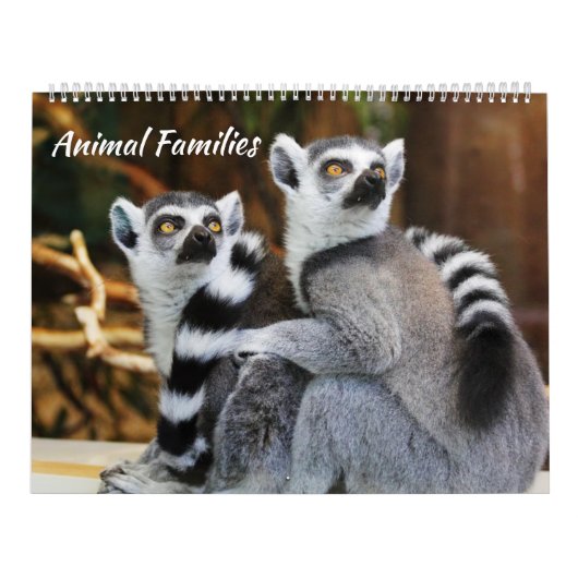 Tierfamilien Kalender (Titelbild)
