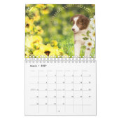 Tierfantasiekunstkalender 2025 kalender (Mär 2027)