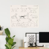 Tierfiguren aus den ursprünglichen Bildern Poster (Heimbüro)