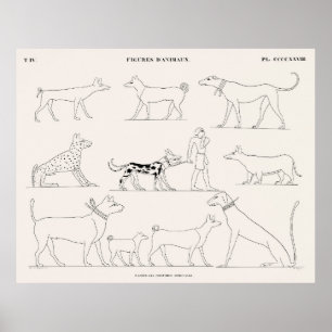 Tierfiguren aus den ursprünglichen Bildern Poster