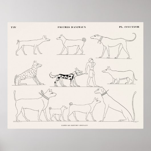 Tierfiguren aus den ursprünglichen Bildern Poster (Vorne)
