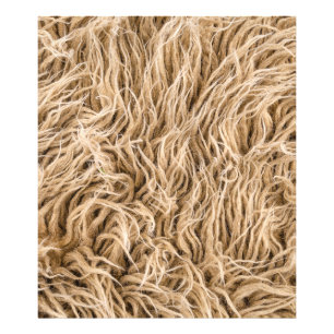 Tierfleisch Fotodruck