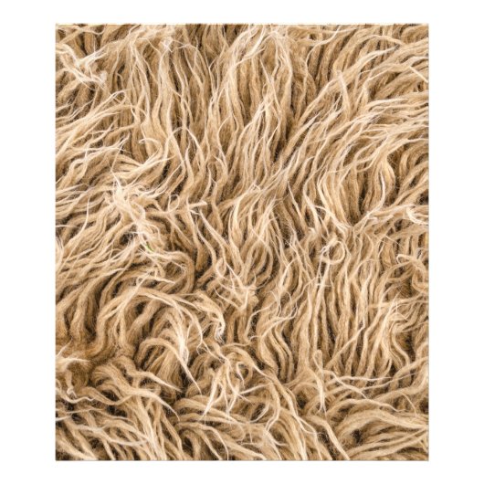 Tierfleisch Fotodruck (Vorne)