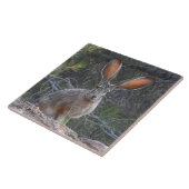 Tierfliese, Keramik, Kaninchen, Hase Fliese (Seite)