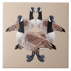 Tierfliese, Keramik, Vögel, Gänse, Gans Fliese
