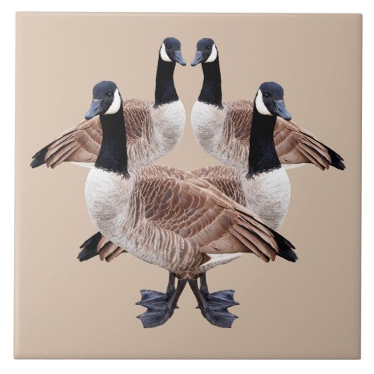 Tierfliese, Keramik, Vögel, Gänse, Gans Fliese (Vorderseite)