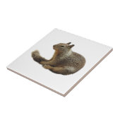 Tierfliese, Keramik, wilde Tiere, Eichhörnchen Fliese (Seite)