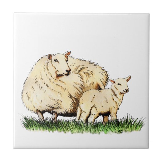 Tierfliese mit zwei Schafen Fliese (Vorderseite)