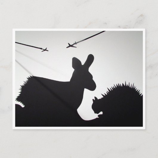 Tierflüge Postkarte (Vorderseite)