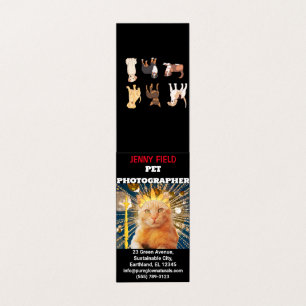 Tierfotograf Tierische Foto - geklappte Visitenkar Visitenkarten