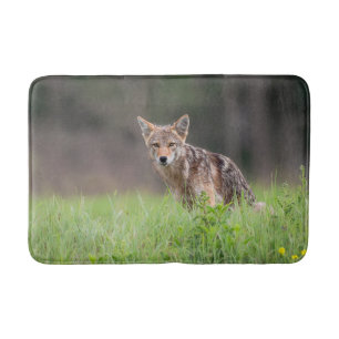 Tierfotografie, Brauner Coyote Badematte