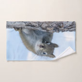 Tierfotografie, neugieriges Eichhörnchen Handtuch (Handtuch)