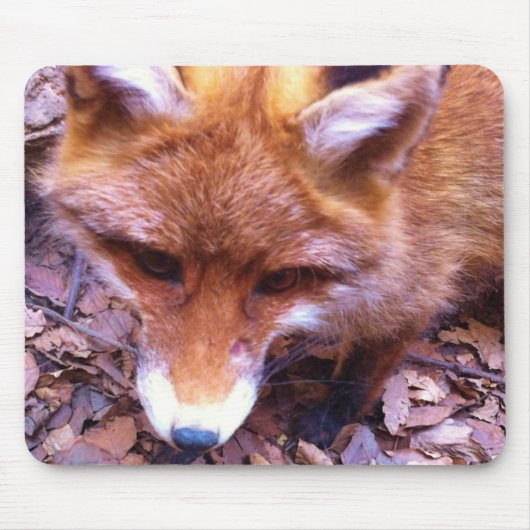 Tierfox-Waldbüro-Party-Duschen-Digital-Kunst Mousepad (Vorne)