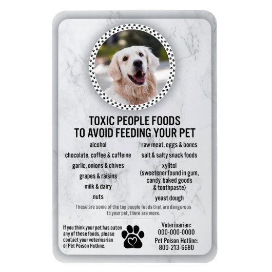 Tierfutter — giftige Lebensmittel für Hunde zur Ve Magnet (Vertikal)