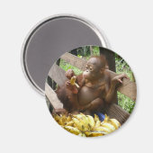 Tierfutter Magnet (Vorderseite/Rückseite)