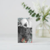 Tierfütterung Freiwillige Tiere Adorable Foto Visitenkarte (Stehend Vorderseite)