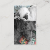 Tierfütterung Freiwillige Tiere Adorable Foto Visitenkarte (Vorderseite)