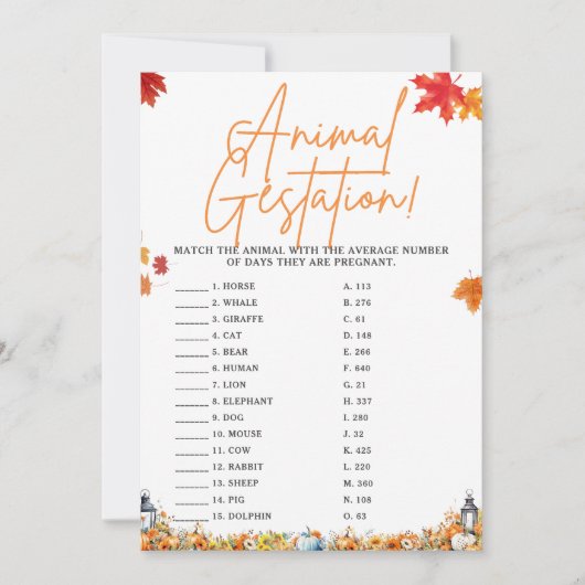 TIERGESTATION Kinderdusche Spiel WENIG PUMPKIN Einladung (Vorderseite)