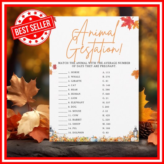 TIERGESTATION Kinderdusche Spiel WENIG PUMPKIN Einladung