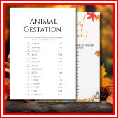 TIERGESTATION Kinderdusche Spiel WENIG PUMPKIN Einladung