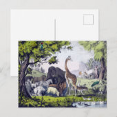 Tiergruppe Postkarte (Vorne/Hinten)