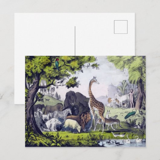 Tiergruppe Postkarte (Vorne/Hinten)